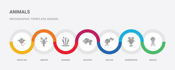 7 filled icon set with colorful infographic template included medusa, hummerhead, pelican, goldfish, seaweed, lobster, manta ray icons