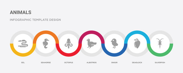 7 filled icon set with colorful infographic template included silverfish, deadlock, snigir, albotros, octopus, seahorse, eel icons