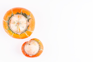 Ugly pumpkins with mutation on white background with copy space. Concept of zero waste production in food industry and a world without starvation. Top view.