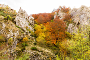 Limestone rock mountain and beech autumn forest 