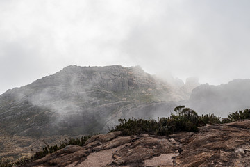 Trilha no parque nacional de Itatiaia RJ