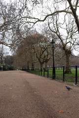 Fototapeta na wymiar Walking path at St. James' Park in London, England
