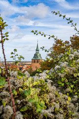 Herbstlicher Ausblick auf L&uuml;neburg, Deutschland