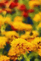 Colorful flower fields Illustrations creates an impressionist style of painting.