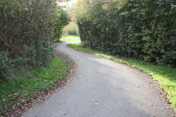 Wanderweg im Herbst