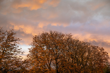 Herbstlicher Sonnenuntergang in Lüneburg, Deutschland