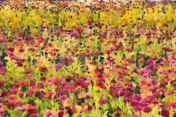 Obraz na płótnie Canvas Colorful flower fields Illustrations creates an impressionist style of painting.