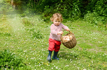 lovely little girl picking eggs in the garden