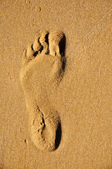 Footprints in the sand