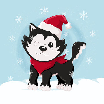 Cute christmas husky on the snow