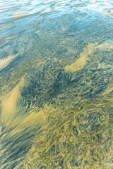 Patterns in the sand 4