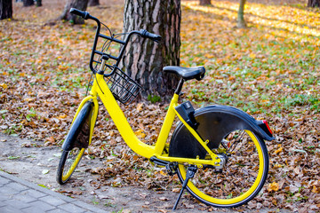 Bike for Bicycle-sharing is in the city Park 