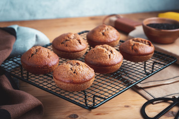 Homemade fresh banana and chocolate muffins on cooling rack.