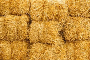 Bales of yellow golden straw stacked on top of each other, background texture, closeup