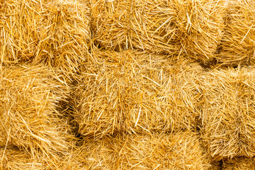 Bales of yellow golden straw stacked on top of each other, background texture, closeup