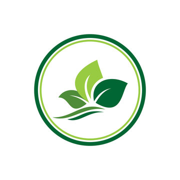 abstract leaves plantation garden estate logo icon