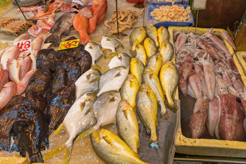 Fish Market Variety