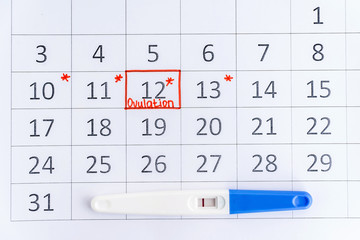 Negative pregnancy test with circling date in calendar. Planning of pregnancy, trying to have baby.