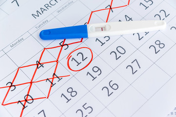 Negative pregnancy test with circling date in calendar. Planning of pregnancy, trying to have baby.