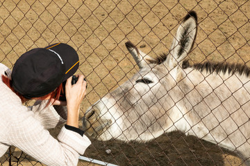 Una mujer hace fotografía a un burro detrás de una alambrada