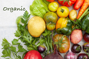 Variety of ripe organic fresh vegetable harvest and text Organic