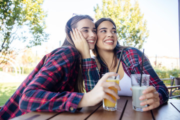 Two young women drinking juice and lemonade in the park