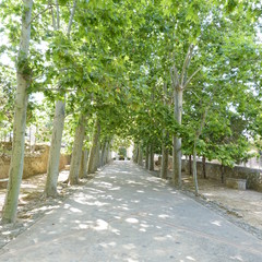 Jardines de Alfabia in Mallorca