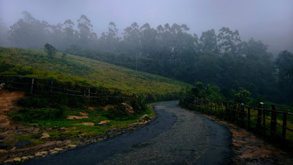 Road in the mountains with mist, Eravikulam National park, Munnar.