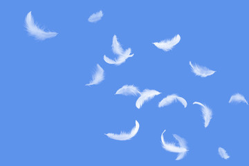 Soft white feathers floating in the air