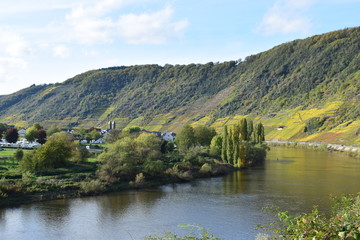 Moseltal bei Bruttig-Fankel im Hernst 2019