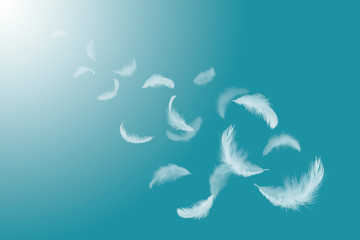 Soft white feathers floating in the air