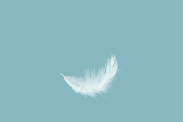 Soft white feather falling down in the air
