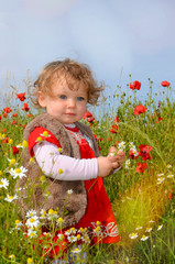 pretty little girl in a field of poppies
