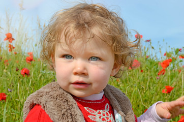 pretty little girl playing in a field of poppies in bloom