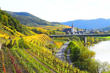 Moseltal bei Bruttig-Fankel im Herbst 2019