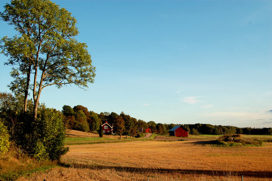 Swedish rural landscape