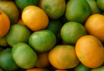 Sabrosas clementinas verdes y maduras.