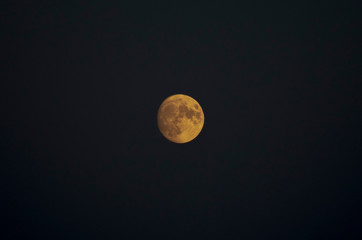 Lune