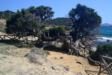 Vista della spiaggia di Porto Sa Ruxi