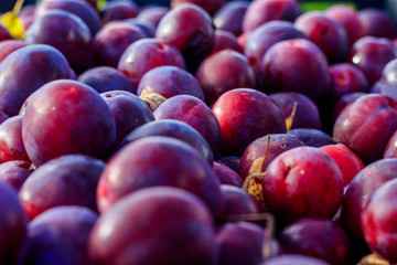 Lots of plums. Drain in the drawer. Homemade plum. Homemade garden berries. Purple fruit