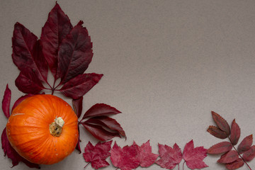 Background with pumpkin and red leaves
