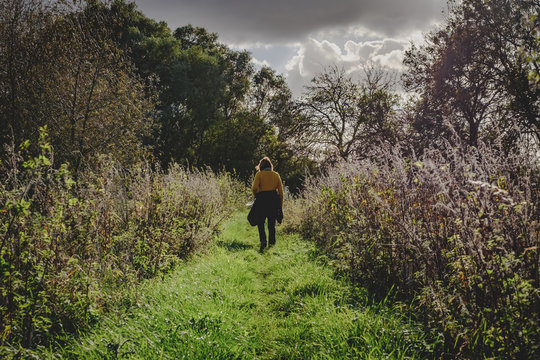 Woman seen walking, following a nature trail at a popular nature reserver during mid summer. The dense woodland is clearly visible in the picture.