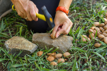 hands of a woman hammering almonds