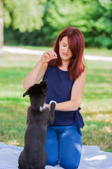 Naklejka na ściany i meble Puppy motivational training in a city park giving paw. Dog owner gives border collie dog a reward for hig five.