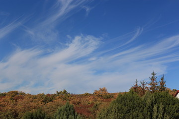Obraz premium sky