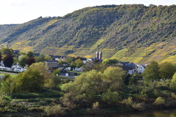 Moseltal bei Bruttig-Fankel im Hernst 2019