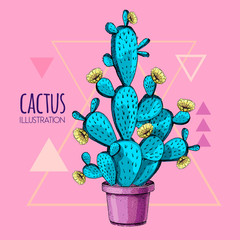 Hand drawing blue fluorescent cactus vector illustration pink background © annbozhko