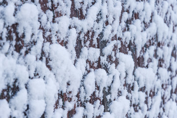 White snow covered wooden board fence, texture, background