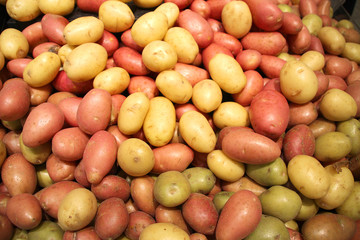 Red and yellow small potatoes are sold in the market
