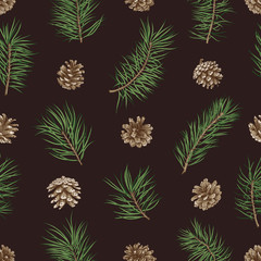 Christmas seamless pattern with winter plants on a black background. Vector botanical illustration with Pines and cones.